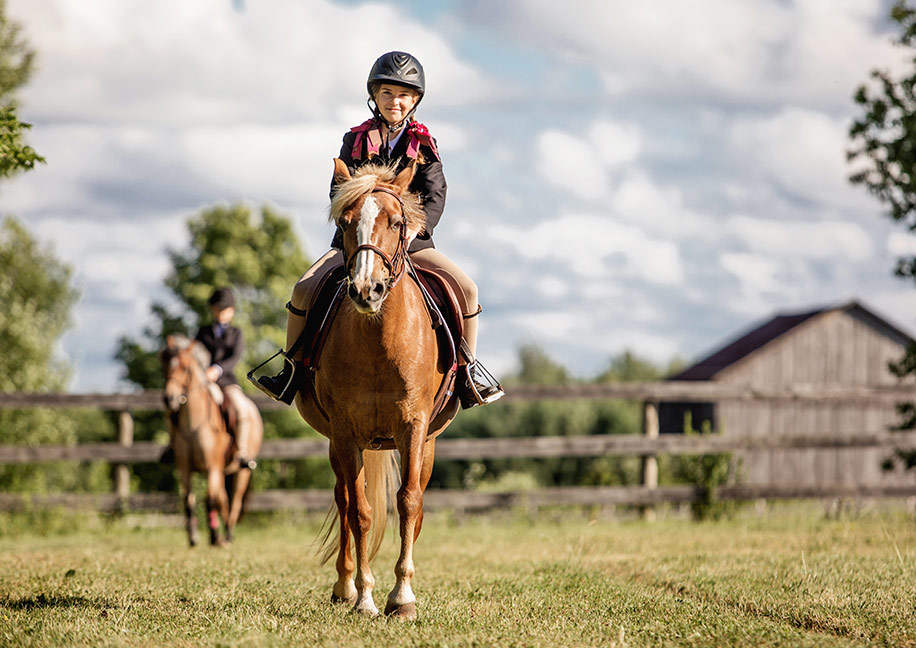Horse Riding Clinics Bradford, ON