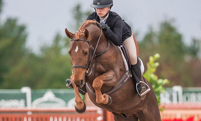 Foxwood Farm Competitive Horse Show Team