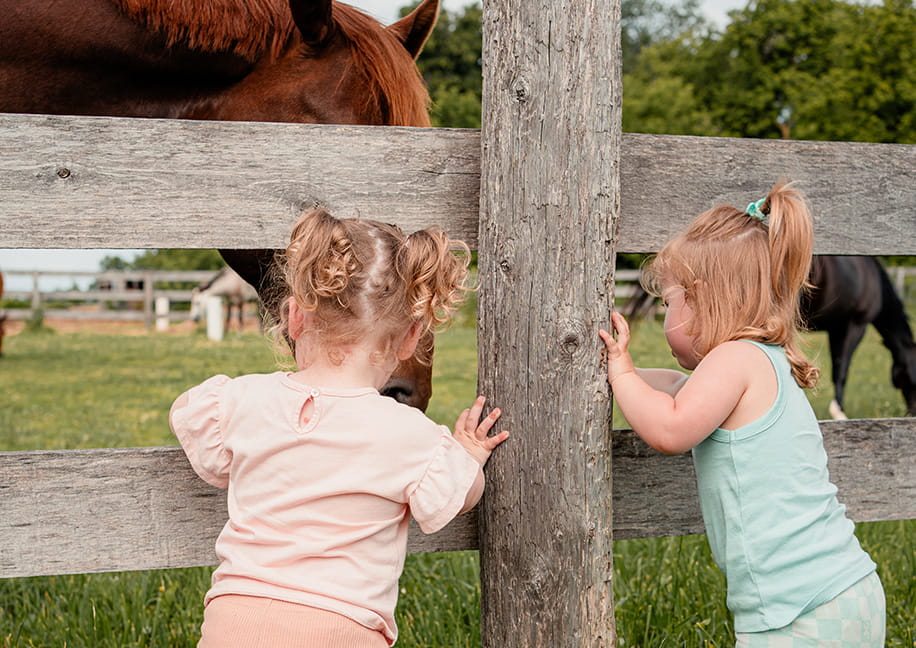 Parent and young child feeding a donkey during Barn Yard Buddies farm program in Bradford