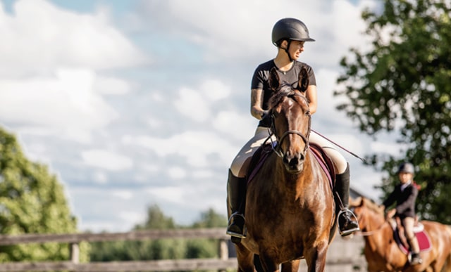 Foxwood Farm Recreational / Development Lesson Programs